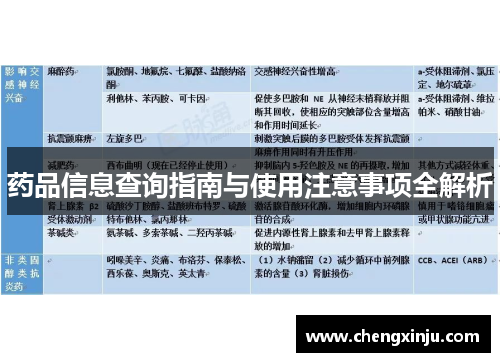 药品信息查询指南与使用注意事项全解析