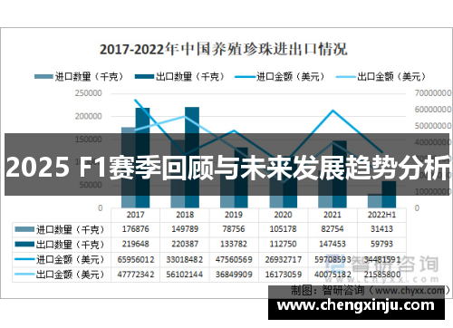2025 F1赛季回顾与未来发展趋势分析